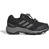 Adidas Terrex GTX Wanderschuh Core Black / Grey Three / Core Black 32