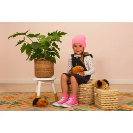 Teddy-Hermann Meerschweinchen schwarz/gold