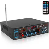 Etlephe Mini Verstärker, 800W Hi-Fi-Verstärker, Stereo-Verstärker Bluetooth 5.0, 12 V 220 V, UKW-Radio, tragbare SD-Karte/USB-Eingang/UKW-Radio für Zuhause oder Auto