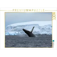 Calvendo Puzzle Die Antarktis / CH-Version 1000 Teile Lege-Größe