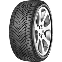 MINERVA All Season Master 225/55 R17 101W