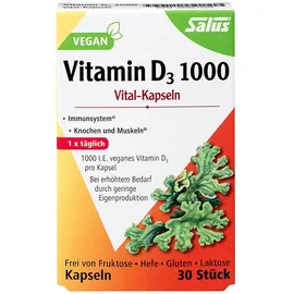SALUS Vitamin D3 1000 vegan Vital-Kapseln Salus