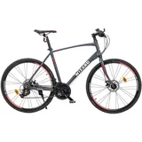 Wizard 28 Zoll RH 54 cm grau