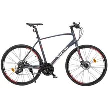 Wizard 28 Zoll RH 54 cm grau