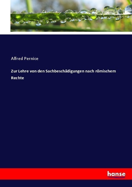 Zur Lehre Von Den Sachbeschädigungen Nach Römischem Rechte - Alfred Pernice  Kartoniert (TB)