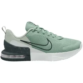 Nike Air Max Alpha Trainer 6 Herren Steam/Black Spruce/Spruce Aura/Off White 45