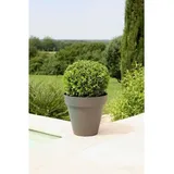 riviera system Soleilla Ø 39,2 x 35,8 cm Glittergris