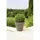 riviera system Soleilla Ø 39,2 x 35,8 cm Glittergris