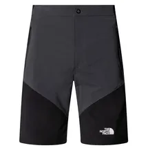 The North Face Herren Felik Slim Tapered Shorts (Größe L, grau)