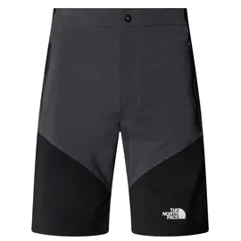 The North Face Herren Felik Slim Tapered Shorts (Größe L, grau)