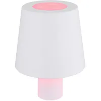 GLOBO Flaschenleuchte Weiß