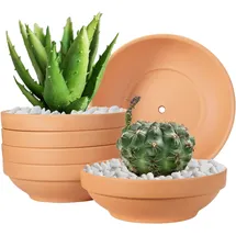 laerjin Flache Terrakotta-Töpfe 6er Set 16,3 x 5,4 cm Braun