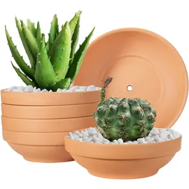 laerjin Flache Terrakotta-Töpfe 6er Set 16,3 x 5,4 cm Braun