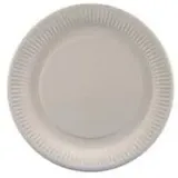 Papstar Pappteller rund Ø 18 cm 100 St. Weiß