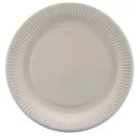 Papstar Pappteller rund Ø 18 cm 100 St. Weiß