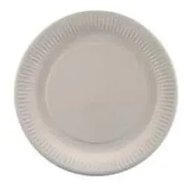 Papstar Pappteller rund Ø 18 cm 100 St. Weiß