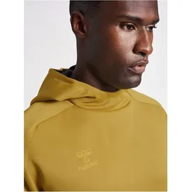 hummel Cima XK Hoodie Herren antique gold S