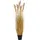 House Nordic Künstliches Gras Sorghum 110 cm