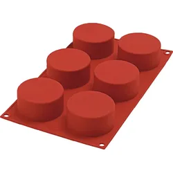 Sf127 Cylinders Backform