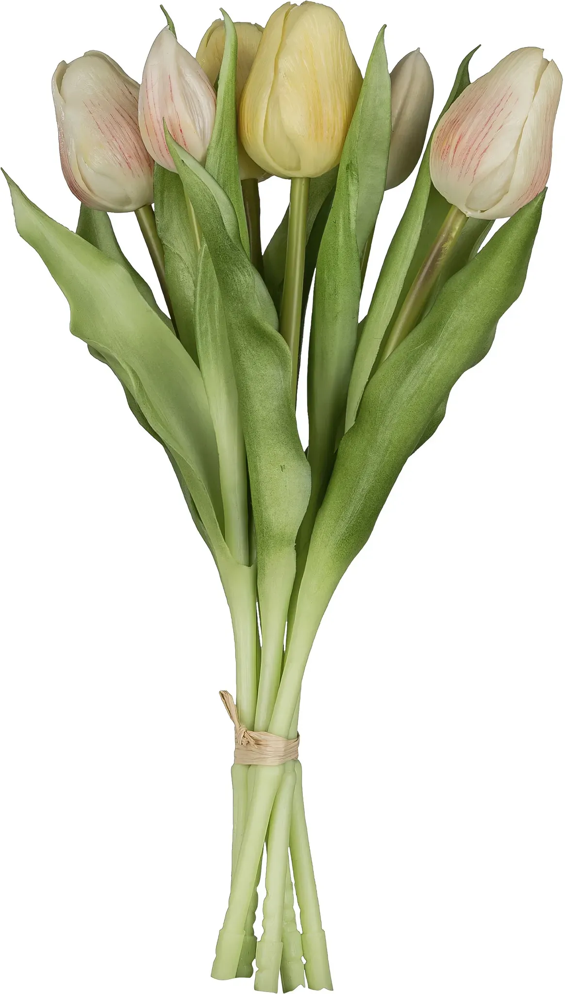 Kunsttulpe CREATIV GREEN 
