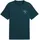 Puma CLASS GRAPHIC TEE grün XL
