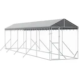 vidaXL Outdoor-Hundezwinger mit Dach 2 x 10 x 2,5 m Stahl Silber