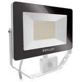 ESYLUX AFLBASICLED50W 4K WH EL10810763 LED-Außenstrahler 50W Weiß