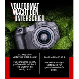 Canon EOS R8 + RF 24-50 mm IS STM Kit