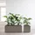 Euro3Plast Greener KEBE 3154.G9Pflanzkasten Kunststoff Taupe