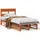vidaXL Massivholzbett 180 x 200 cm Braun