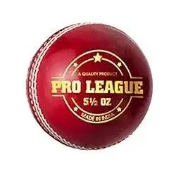 DSC Pro League Cricket Lederball ROT HOMME