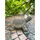 ZGM Betonfigur Schildkröte SAMMY - handgefertigte Dekoration für Garten und Haus