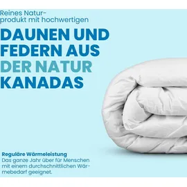 BestLivings Kassettenbett - Daunen/Federdecke - 135x200cm inkl. 80x80cm Feder-Kopfkissen Weiß