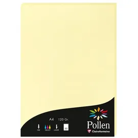 Clairefontaine Briefumschlag 10x Papier A4 120g 50 Blatt - Kanariengelb 4207C, Karten und Umschläge pollen gelb