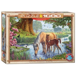 EUROGRAPHICS Puzzle »Puzzles 501 bis 1000 Teile 6000-0976«, Puzzleteile bunt