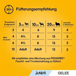 PEDIGREE Junior mit Huhn und Reis in Gelee 24 x 100 g