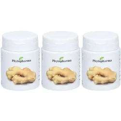 Phytopharma Ingwer