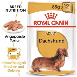 Royal Canin Dachshund Adult Hundefutter nass 85g