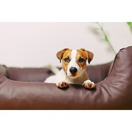 4L Textil Hundekorb Mario 100 x 70 cm braun