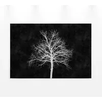 A.S. Création A.S. Leinwandbild »blackboard«, (1 St.), Schwarz-Weiß Baum Keilrahmen Bild Tafel, 27577065-0 schwarz, weiß B/H: 90 cm x 60 cm