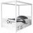 TICAA Himmelbett Lino 140 x 200 cm Kiefer massiv weiß