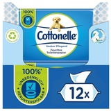 Cottonelle® Toilettenpapier Feuchtes Toilettenpapier Mizellenwasser & Baumwollduft 12x42 Tücher (Vorratspackung 12 x 42 Tücher), WC-Tücher weiß