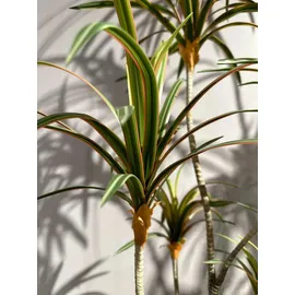 aplanta Künstlicher Drachenbaum - Minor | 100 cm,