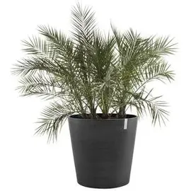 Ecopots Amsterdam Ø 80 x 75 cm Dunkelgrau