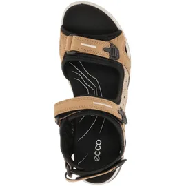 ECCO OFFROAD YUCATAN Damen Braun 37