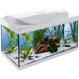 Tetra Starter Line LED Aquarium 54L weiß