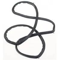 Bosch Dichtung Backofentür 00754066 grau