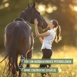 görges naturpharma gmbh ReaVET Thymian für Pferde 1 kg