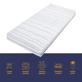 Beco Dream Flex 90 x 200 cm H2