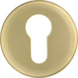 ABUS Schutzrosette RHZS415 F3 grau
